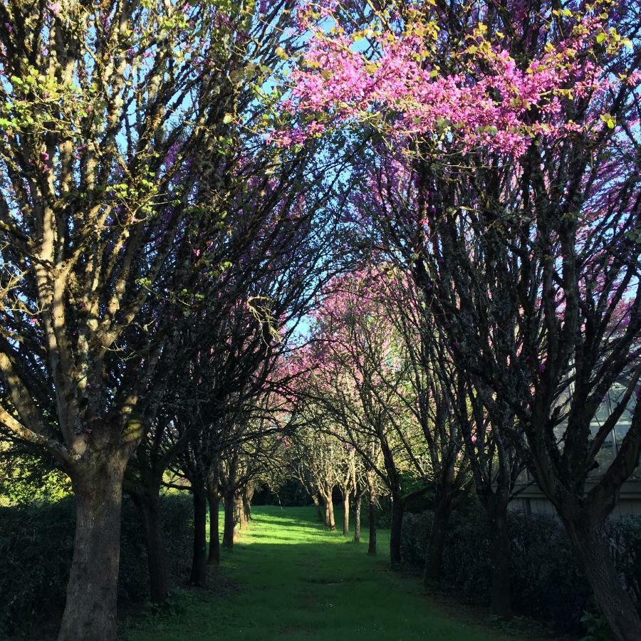 Le Belvédère Thiviers Esterno foto